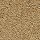 Horizon Carpet: Pleasant Touch Stonington Biege
